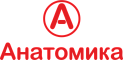 Анатомика